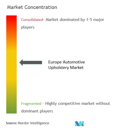 Europe Automotive Upholstery Market Concentration Adient PLC, Grupo Antolin, Faurecia, Harris, Lear Corporation, Toyota Boshoku Corporation, Seiren Co. Ltd