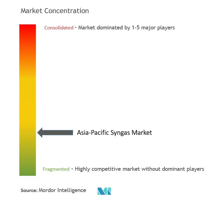 Asia-Pacific Syngas Market Concentration Asia-Pacific Syngas Market Concentration