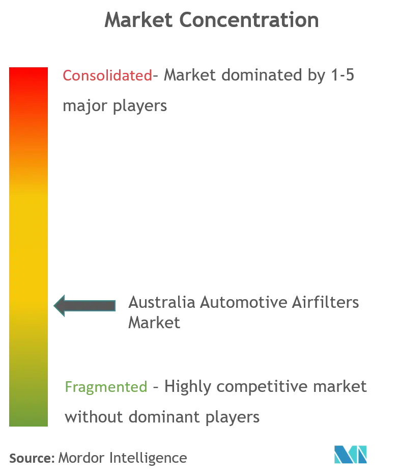 Australia Automotive Airfilters Market Concentration Australia Automotive Airfilters Market_Market Concentration.png