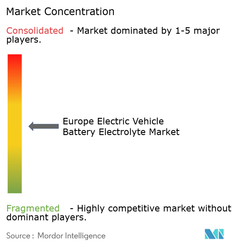 Europe Electric Vehicle Battery Electrolyte Market Concentration Europe Electric Vehicle Battery Electrolyte Market Concentration