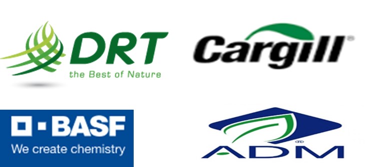 Related Companies Logo