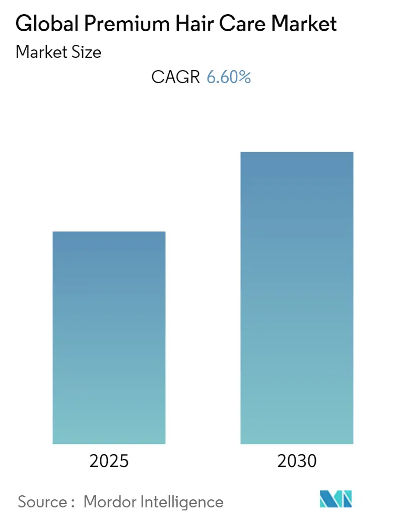 Global Premium Hair Care Market Size Premium Hair Care Market Summary