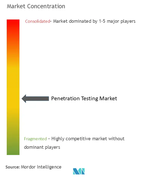 Penetration Testing Market Concentration Penetration Testing Market Concentration