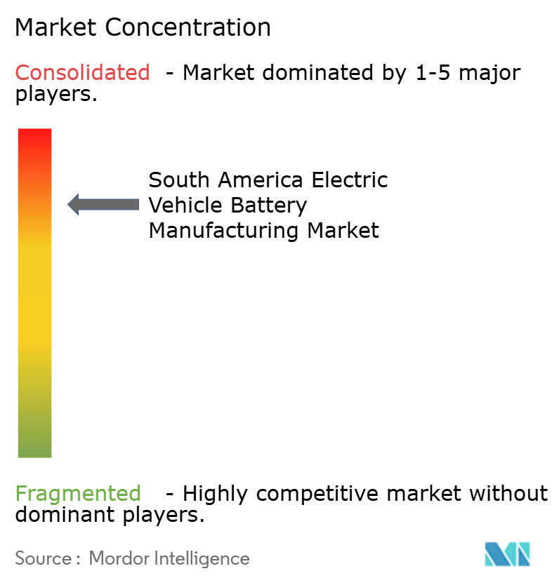 South America Electric Vehicle Battery Manufacturing Market Concentration South America Electric Vehicle Battery Manufacturing Market Concentration