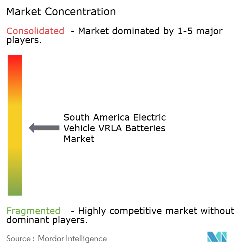 South America Electric Vehicle VRLA Batteries Market Concentration South America Electric Vehicle VRLA Batteries Market Concentration