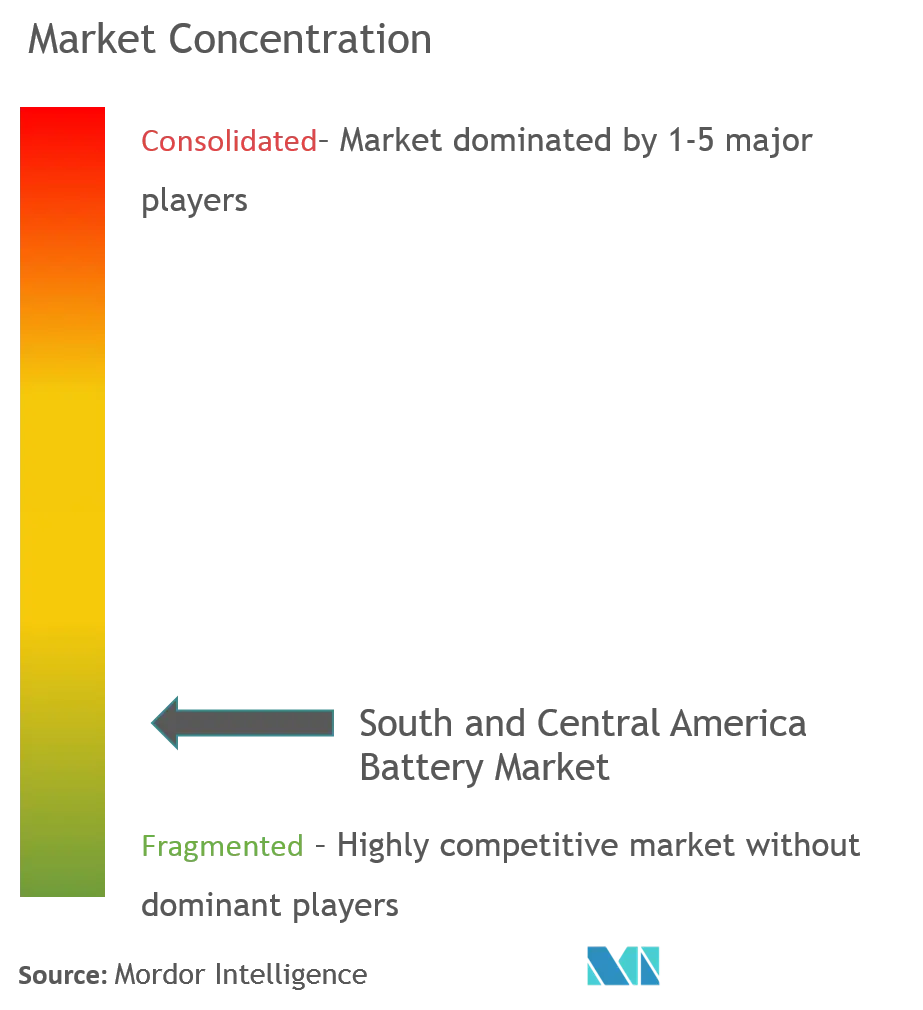 South and Central America Battery Market Concentration