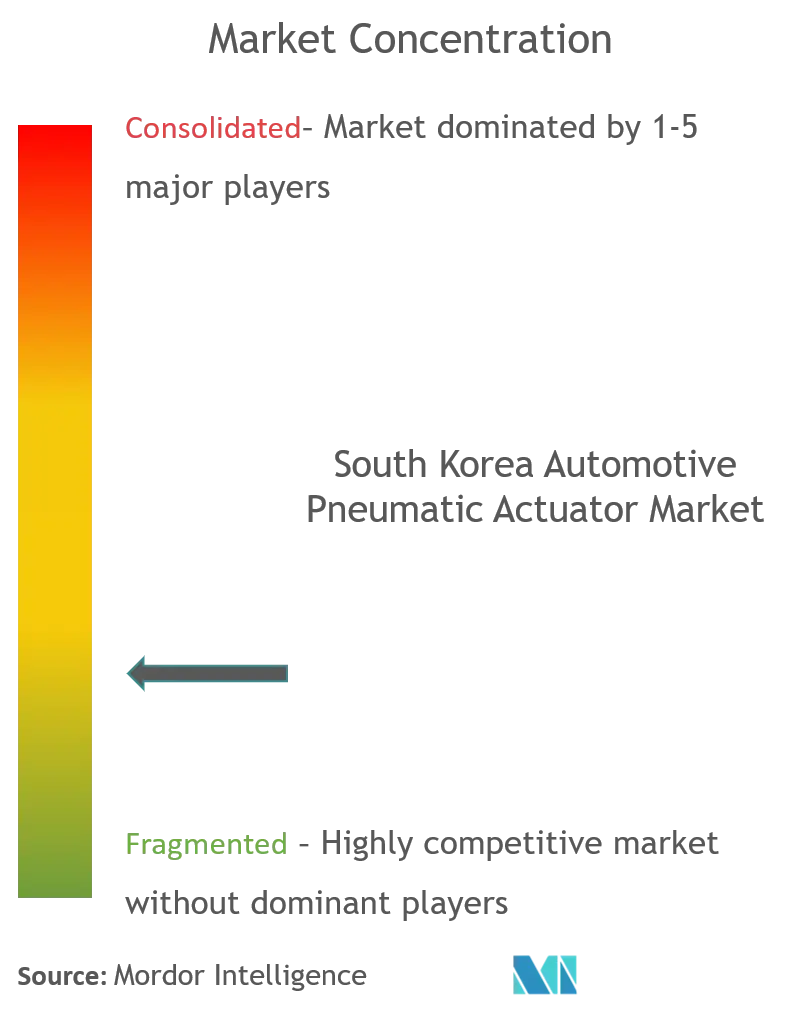 South Korea Automotive Pneumatic Actuators Market Concentration south korea.png