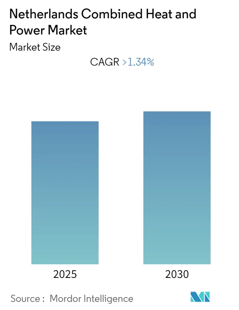 Netherlands Combined Heat and Power Market Size Market Summary- The Netherlands Combined Heat and Power Market